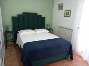 Nilu's Central House